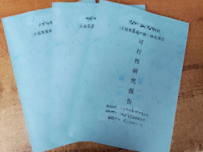 可行性研究报告